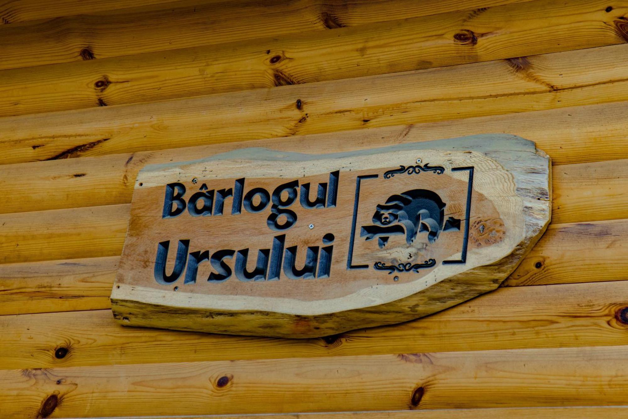 Bear'S Lair Chalet Porumbacu de Sus Exterior foto
